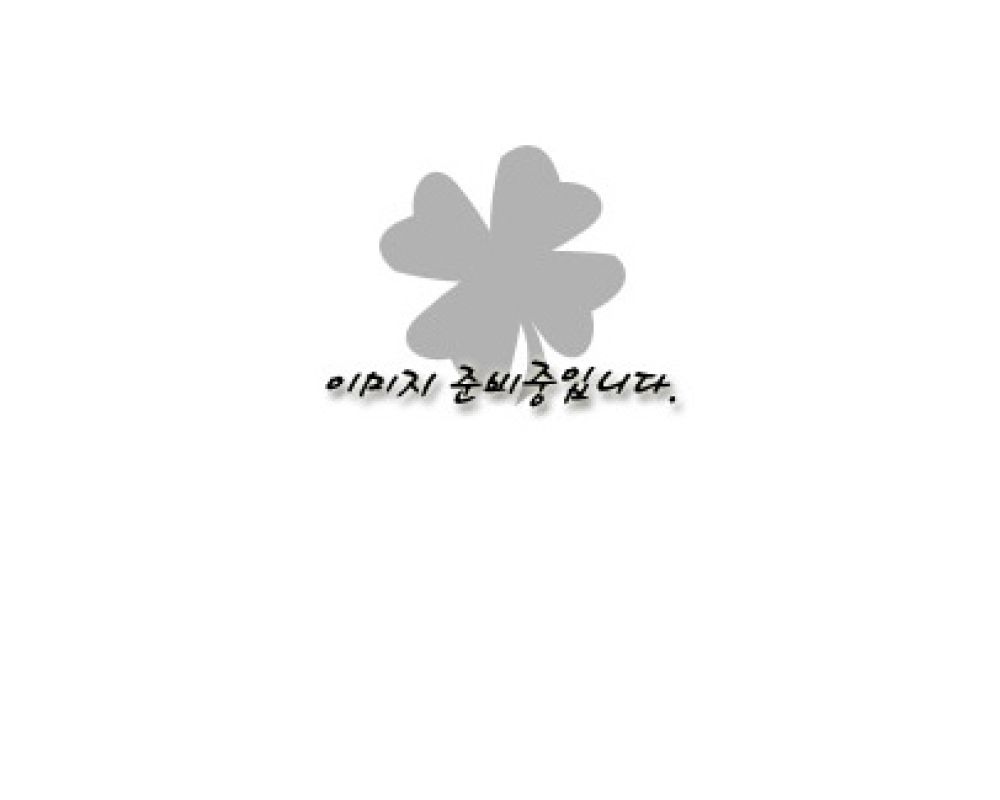 서비스 셋!!